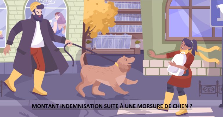  Montant  indemnisation morsure chien MonIndemnite